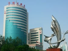 ɽ���{����